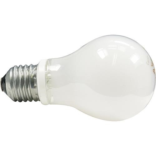 LED Lampe 60 W